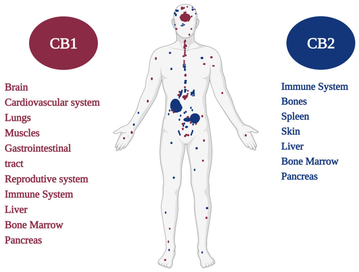 PMC9966761 – pharmaceuticals-16-00148-f001