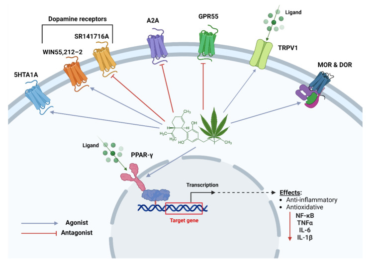 PMC10141492 – pharmaceuticals-16-00487-f002