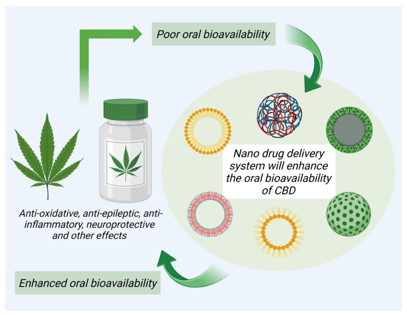PMC10141492 – pharmaceuticals-16-00487-f003