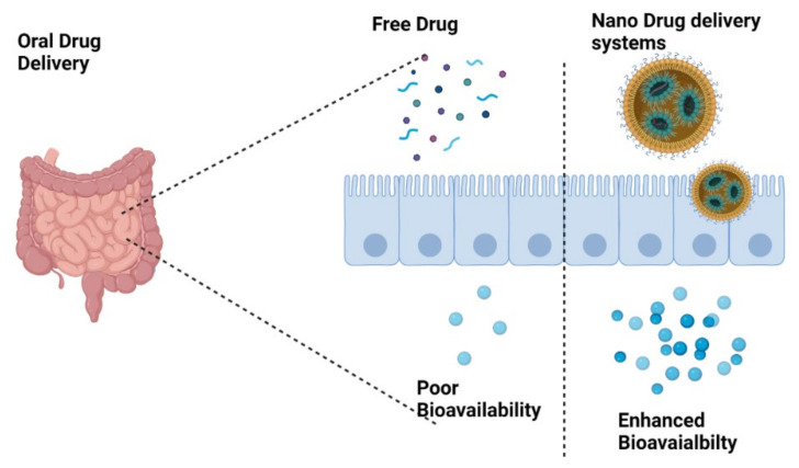 PMC10141492 – pharmaceuticals-16-00487-f004