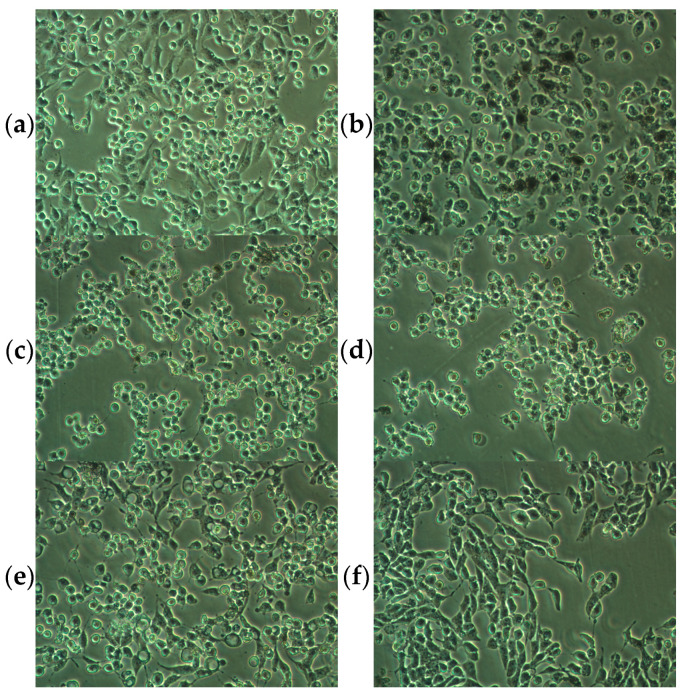 PMC10223733 – pharmaceuticals-16-00648-f005