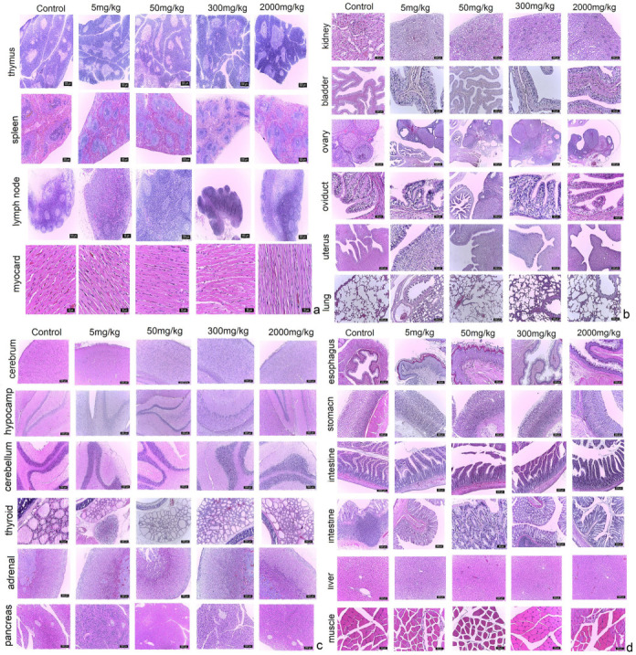 PMC10223347 – pharmaceuticals-16-00694-f002