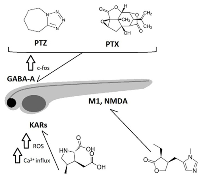 PMC10459181 – pharmaceuticals-16-01061-f001