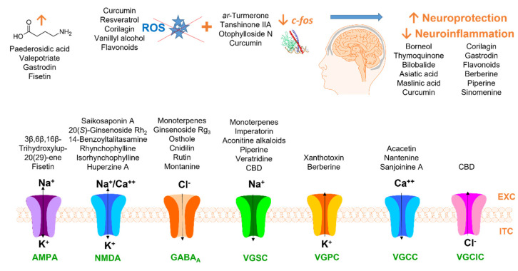 PMC10459181 – pharmaceuticals-16-01061-f002