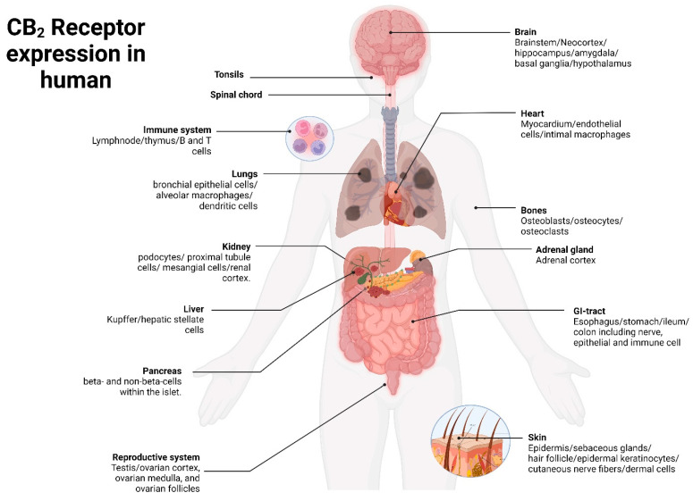 PMC10534640 – pharmaceuticals-16-01235-f001