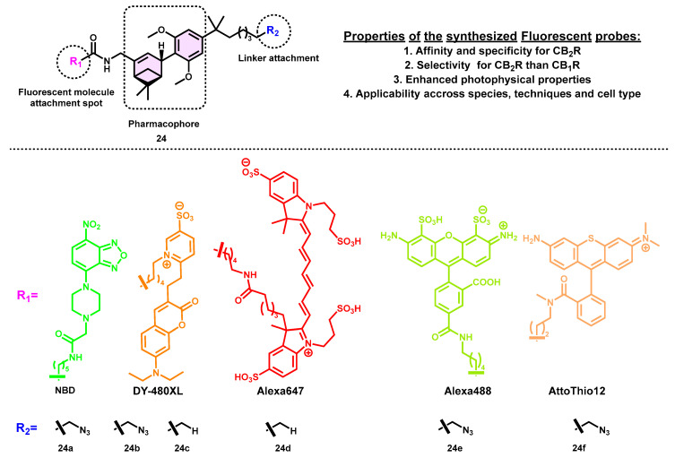 PMC10534640 – pharmaceuticals-16-01235-f008