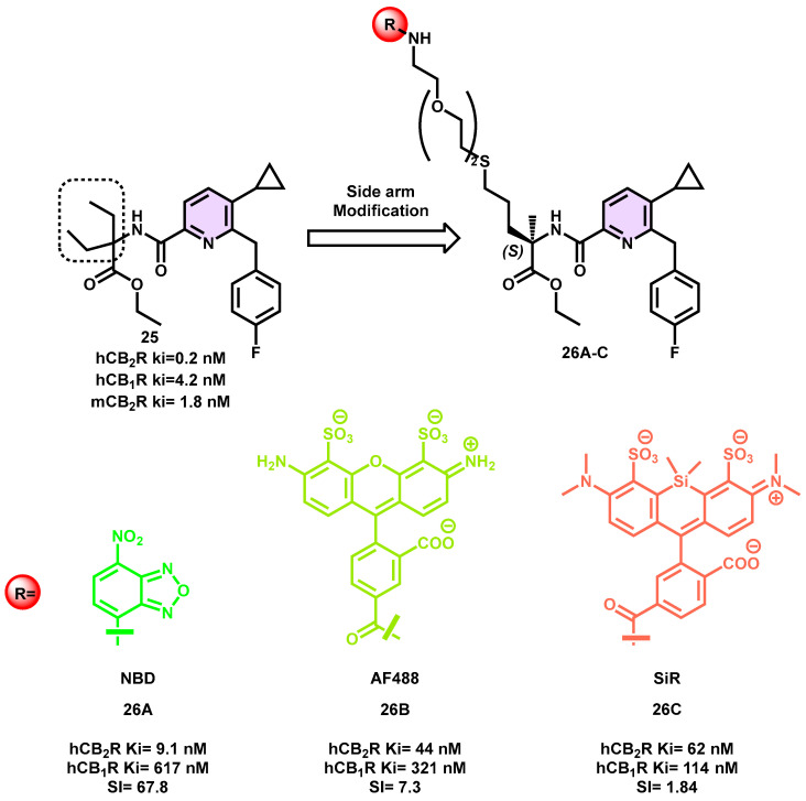 PMC10534640 – pharmaceuticals-16-01235-f009