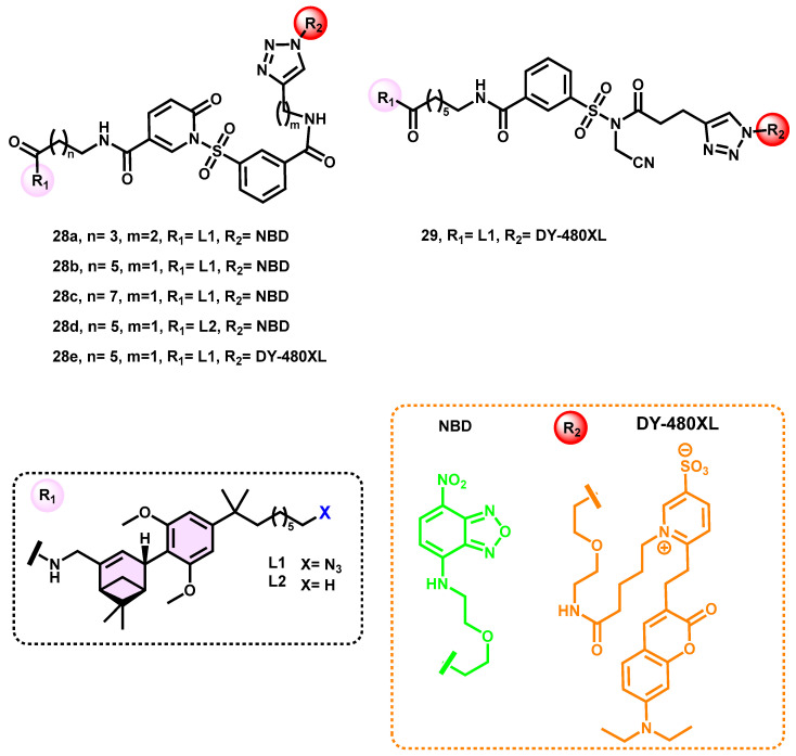 PMC10534640 – pharmaceuticals-16-01235-f011