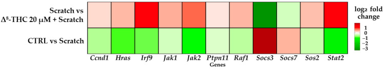 PMC10535185 – pharmaceuticals-16-01268-f003