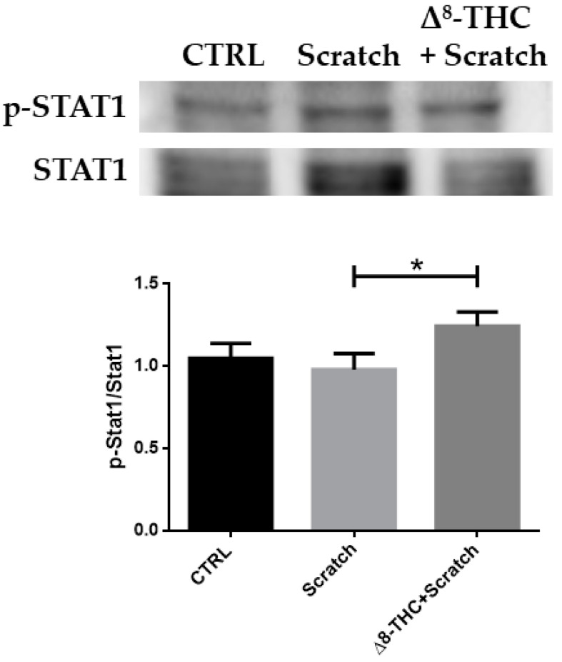 PMC10535185 – pharmaceuticals-16-01268-f004