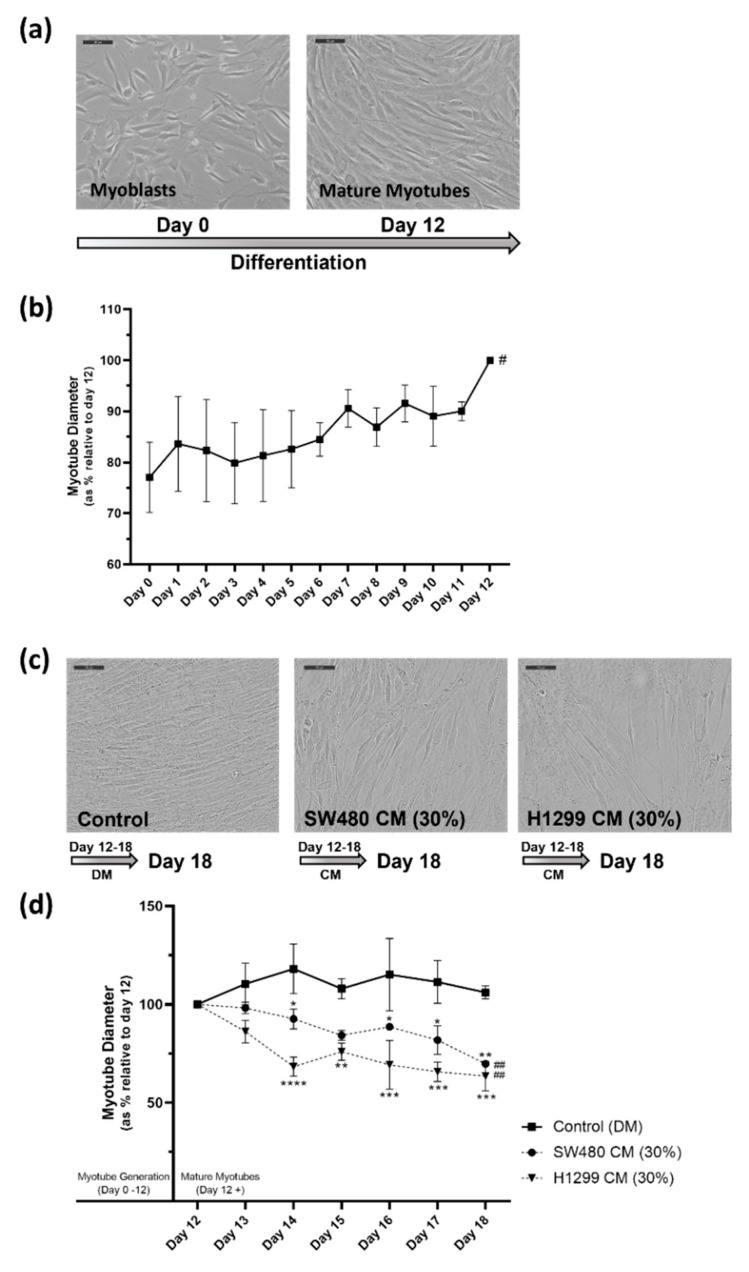 PMC10675367 – pharmaceuticals-16-01580-f002