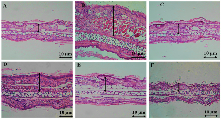 PMC10819254 – pharmaceuticals-17-00020-f002
