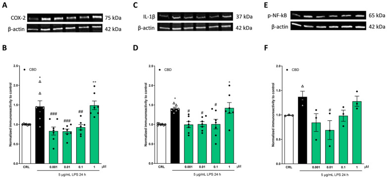 PMC11055086 – pharmaceuticals-17-00467-f002