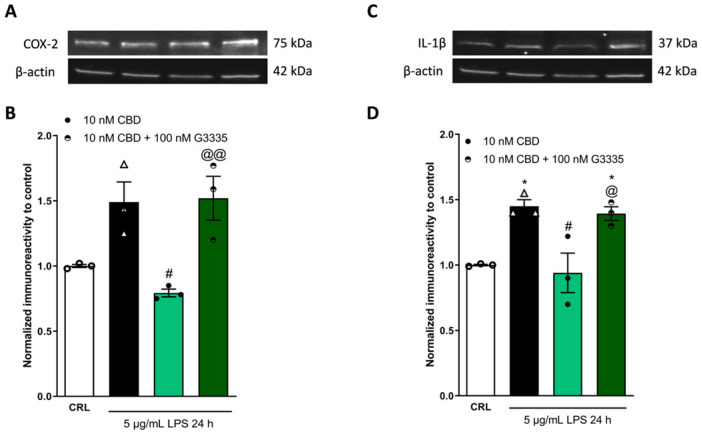 PMC11055086 – pharmaceuticals-17-00467-f004