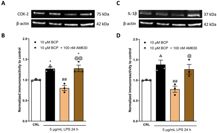 PMC11055086 – pharmaceuticals-17-00467-f005