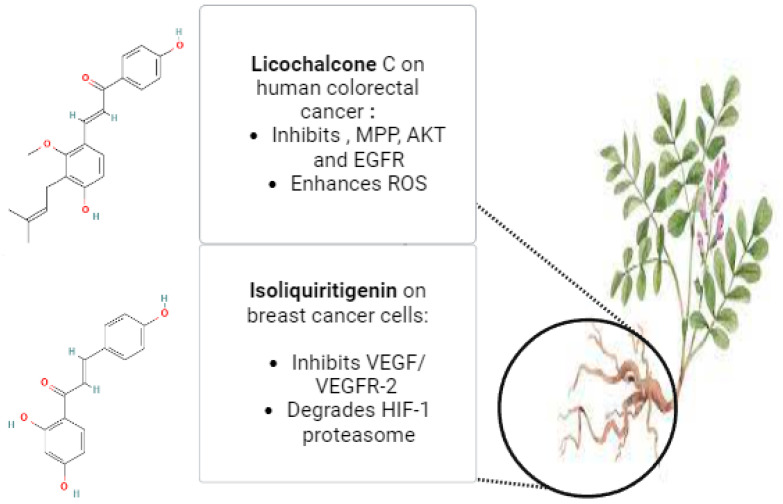 PMC11124340 – pharmaceuticals-17-00574-f004