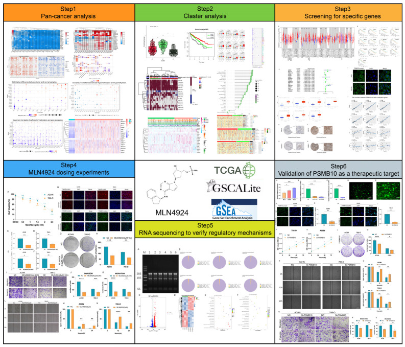 PMC11125012 – pharmaceuticals-17-00635-f002
