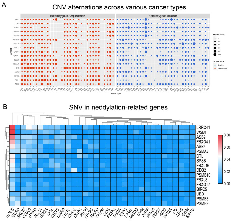 PMC11125012 – pharmaceuticals-17-00635-f003
