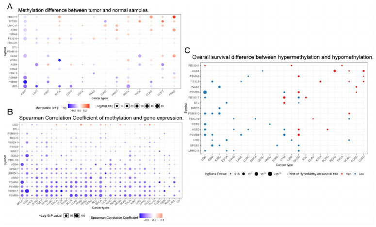 PMC11125012 – pharmaceuticals-17-00635-f004