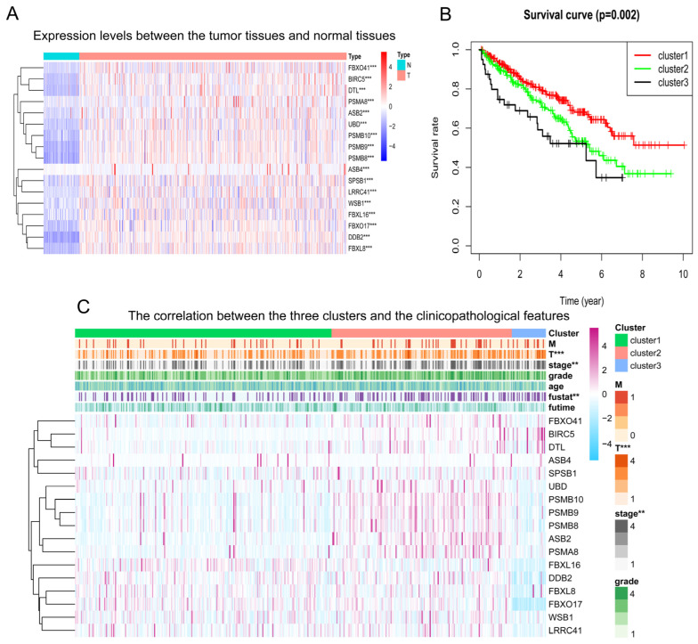 PMC11125012 – pharmaceuticals-17-00635-f005