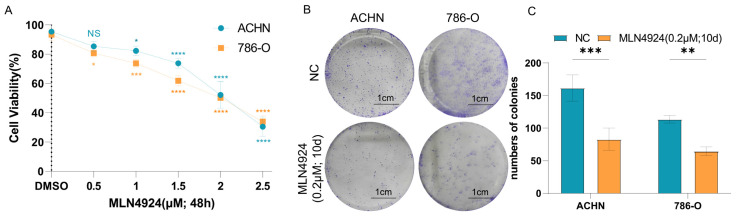 PMC11125012 – pharmaceuticals-17-00635-f009