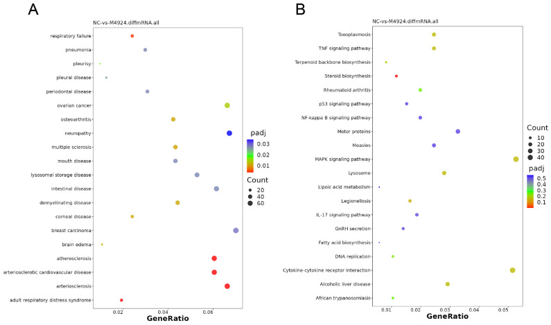 PMC11125012 – pharmaceuticals-17-00635-f010