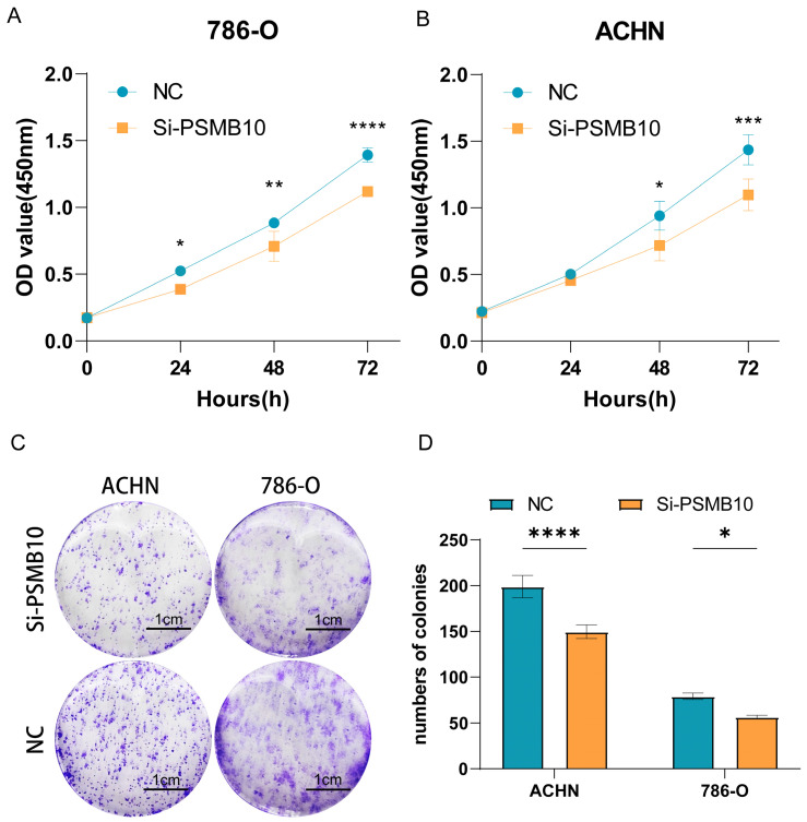 PMC11125012 – pharmaceuticals-17-00635-f011