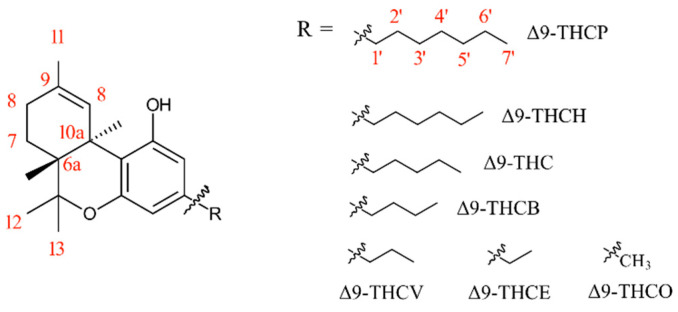 PMC11125018 – pharmaceuticals-17-00637-f001