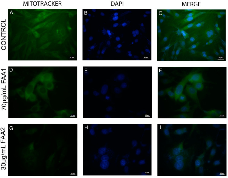 PMC11280372 – pharmaceuticals-17-00873-f007