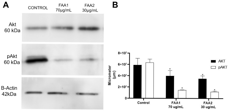 PMC11280372 – pharmaceuticals-17-00873-f010