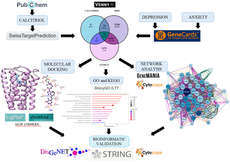 PMC11280388 – pharmaceuticals-17-00893-f001