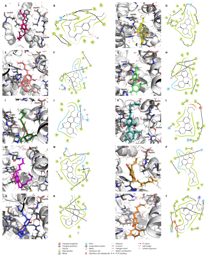 PMC11434916 – pharmaceuticals-17-01245-f005