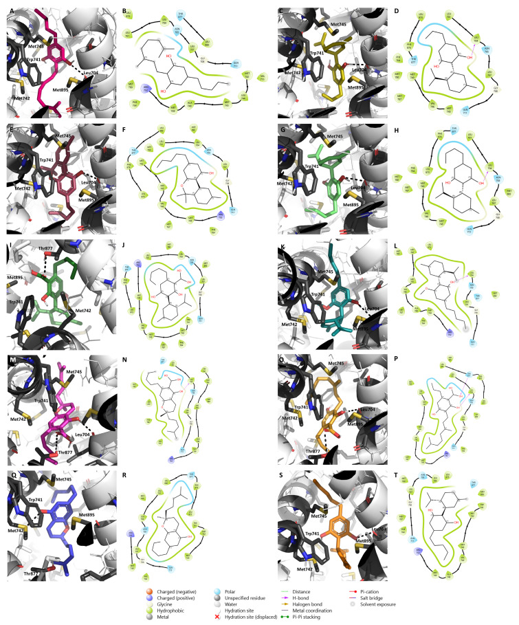 PMC11434916 – pharmaceuticals-17-01245-f006