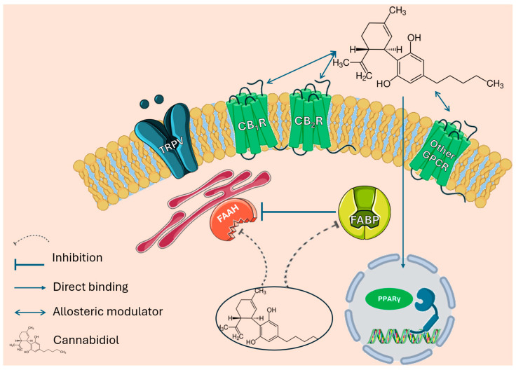 PMC11597428 – pharmaceuticals-17-01438-f002