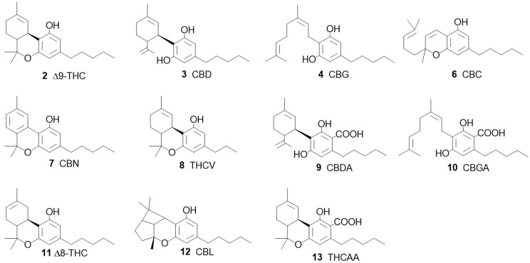 PMC11870048 – pharmaceuticals-17-01543-f004