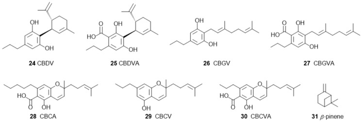 PMC11870048 – pharmaceuticals-17-01543-f007