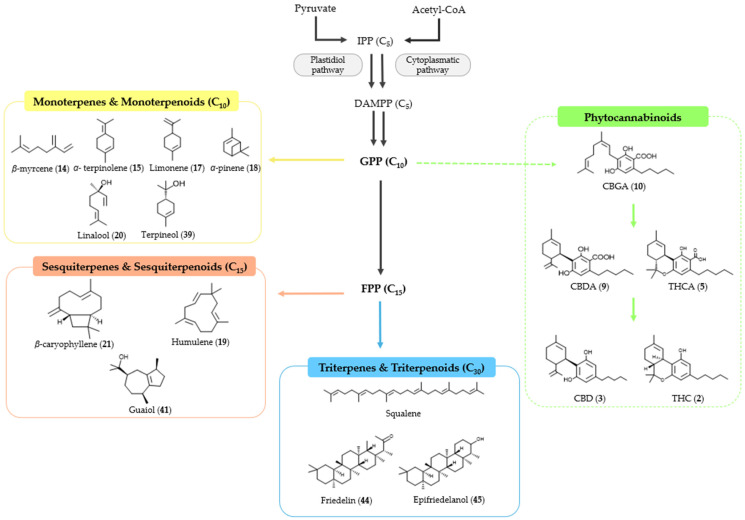 PMC11870048 – pharmaceuticals-17-01543-f009