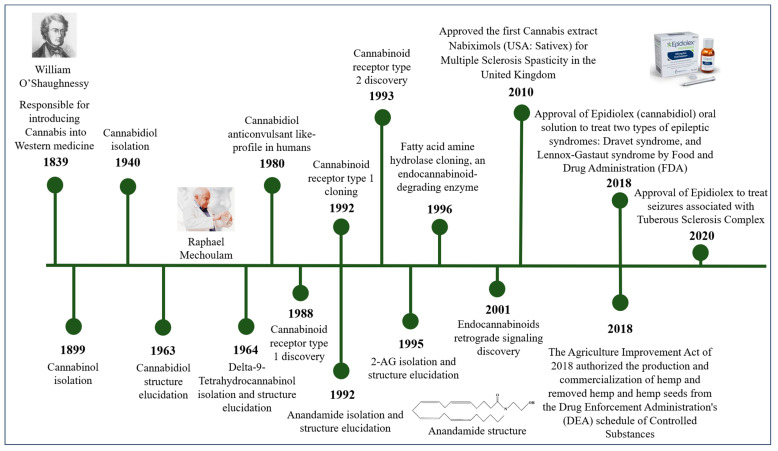 PMC11677192 – pharmaceuticals-17-01644-f002