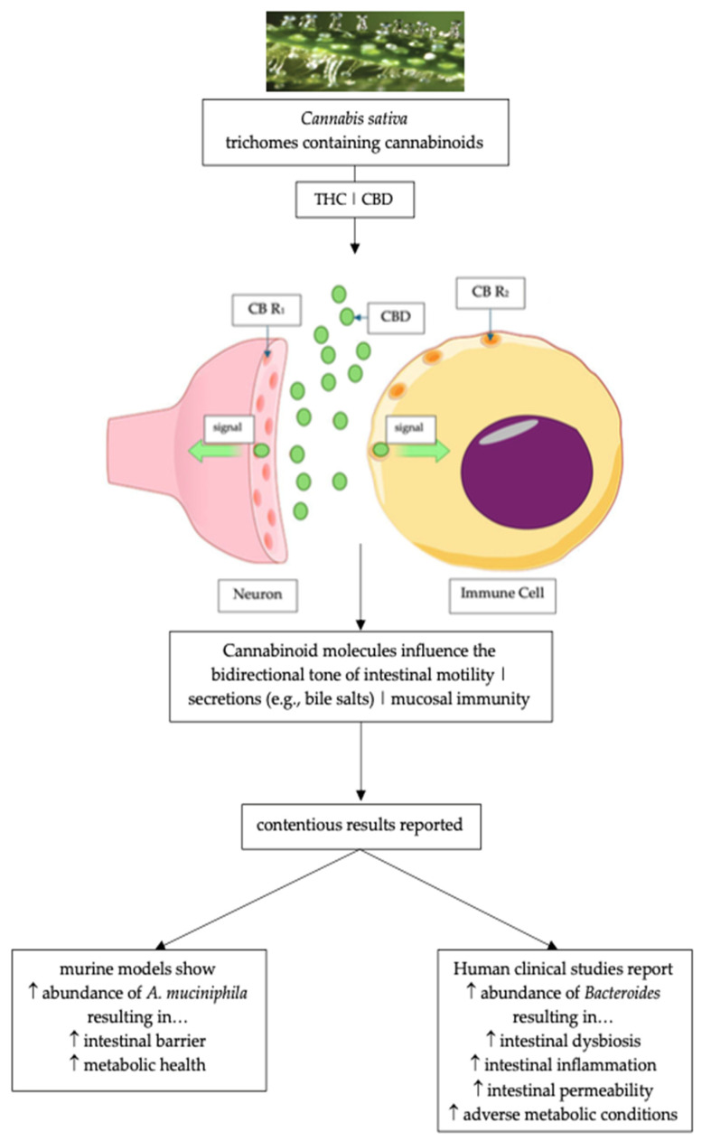PMC11678570 – pharmaceuticals-17-01702-f002