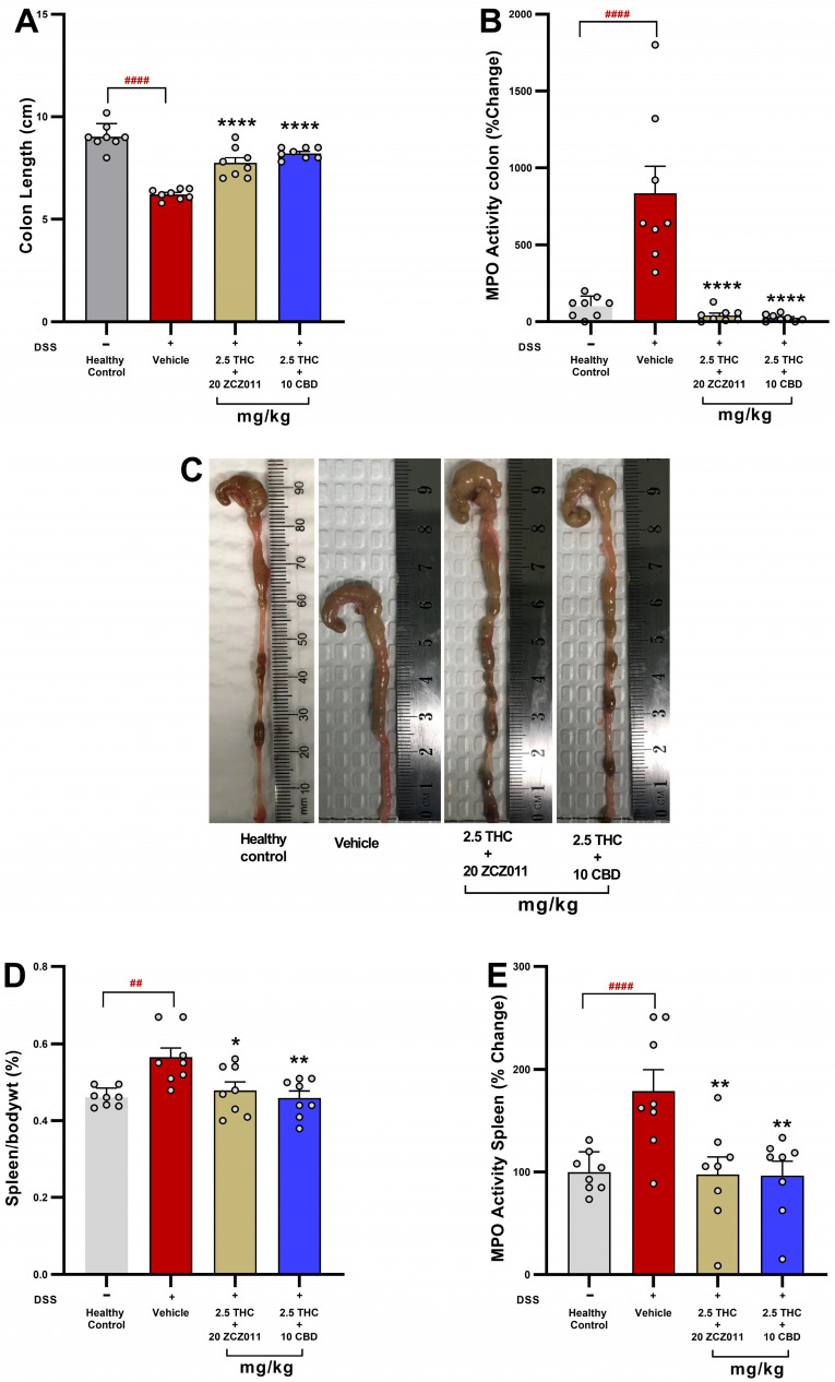 PMC11858241 – pharmaceuticals-18-00148-f004
