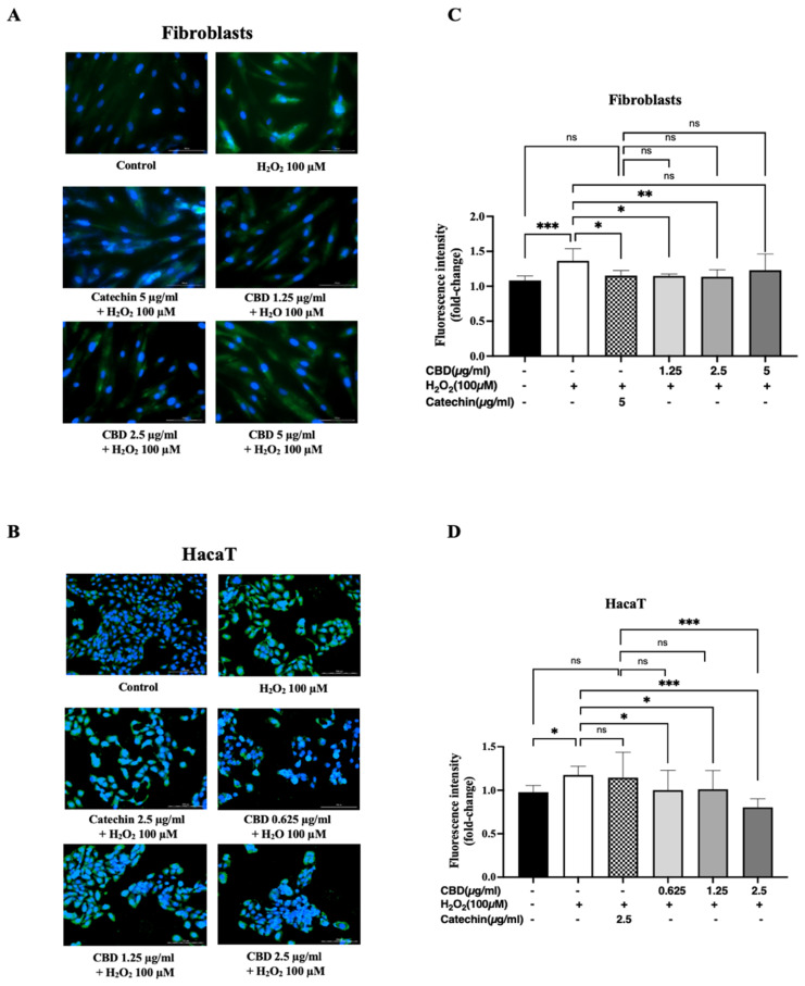 PMC11859159 – pharmaceuticals-18-00202-f002