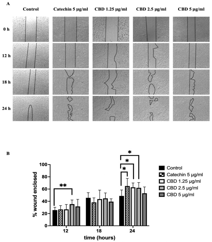 PMC11859159 – pharmaceuticals-18-00202-f004