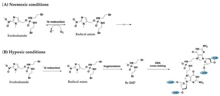 PMC11859331 – pharmaceuticals-18-00210-f007