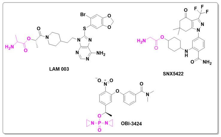 PMC11859331 – pharmaceuticals-18-00210-f008