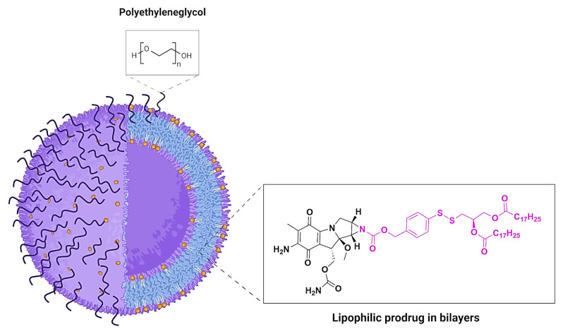PMC11859331 – pharmaceuticals-18-00210-f012