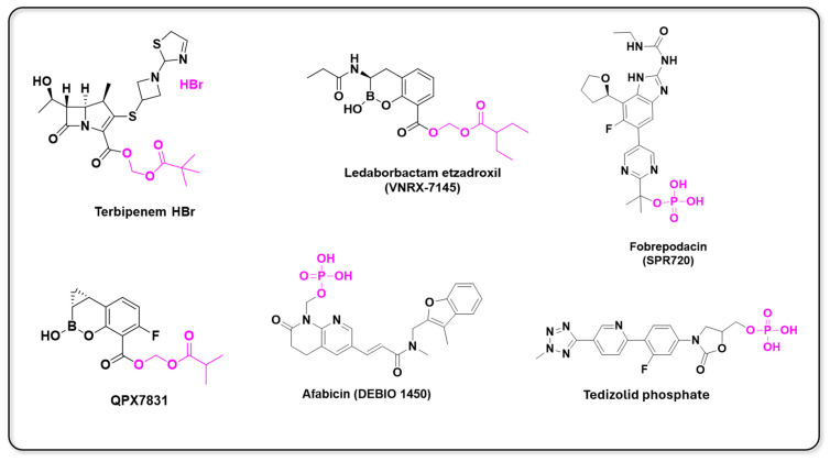PMC11859331 – pharmaceuticals-18-00210-f013