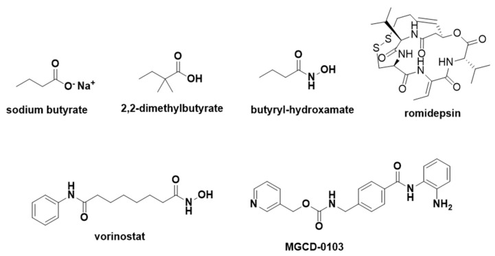 PMC11859331 – pharmaceuticals-18-00210-f018
