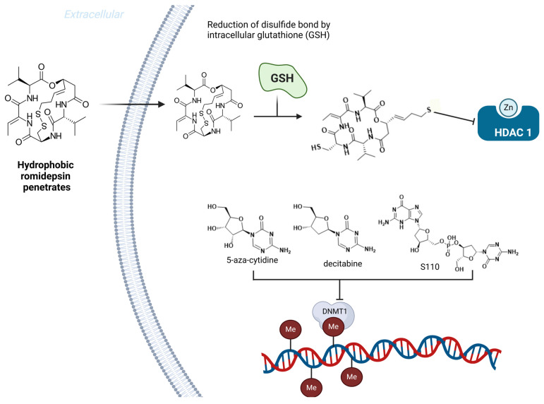 PMC11859331 – pharmaceuticals-18-00210-f019
