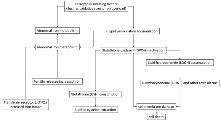 PMC11944624 – pharmaceuticals-18-00334-f001