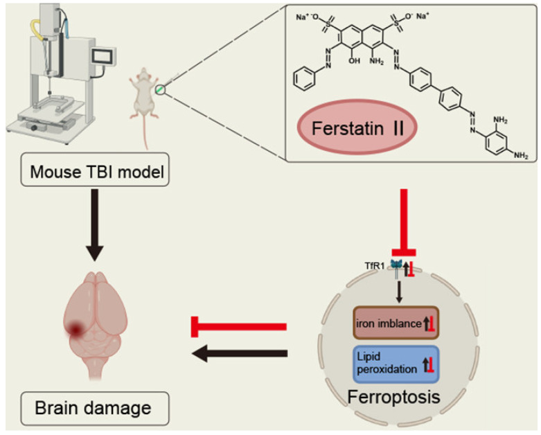 PMC11944624 – pharmaceuticals-18-00334-f002